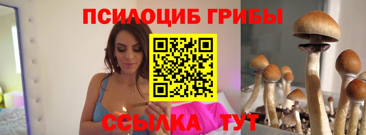 Полысаево  Галлюциногенные грибы прущие грибы  Вход с VPN 